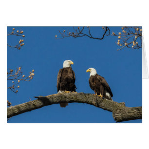 Comfortable Around You