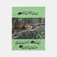 Comfortable Crouching Red Panda