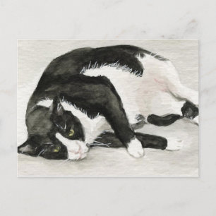 "Comfortable Tuxedo Cat" Art Postcards