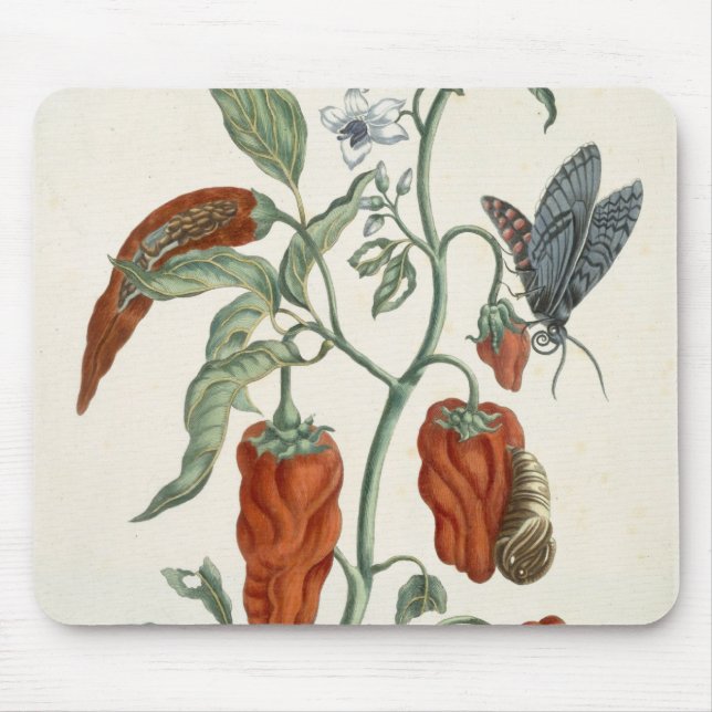 Comfrey, from 'A Curious Herbal', 1782 (colour eng Mouse Mat (Front)