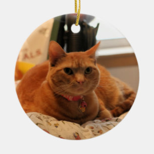 Comfy cat ceramic tree decoration
