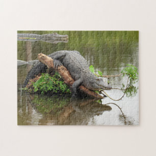 Comfy Cozy Gator Puzzle
