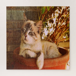 Comfy Sleepy Kitty Jigsaw Puzzle