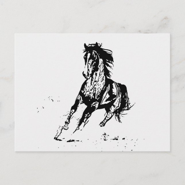 Comic Drawing Horse Postcard (Front)