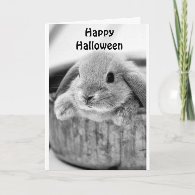 COMICAL BUNNY SAYS **HAPPY HALLOWEEN**  HOLIDAY CARD (Front)