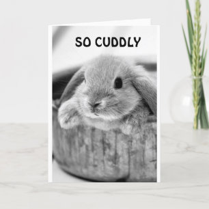 COMICAL BUNNY SAYS **HAPPY HALLOWEEN**  HOLIDAY CARD