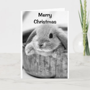 COMICAL BUNNY SAYS **MERRY CHRISTMAS** HOLIDAY CARD