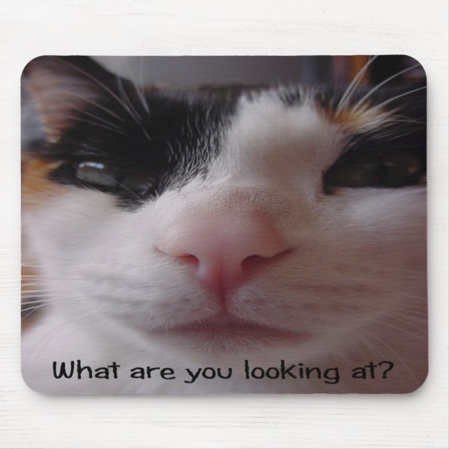 Comical Calico Mousepad (Front)
