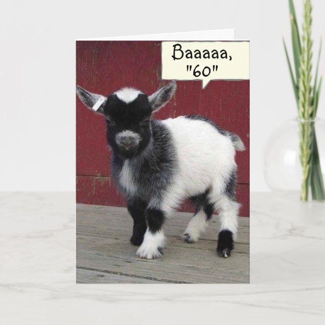 *COMICAL GOAT* YOU STILL LOOK "59" ON YOUR *60th* Card (Front)