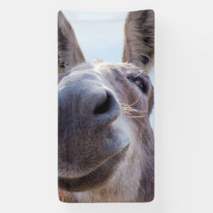 Comical Grey Smiling Donkey Banner