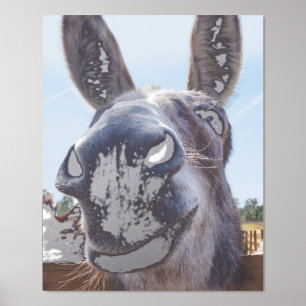 Comical Grey Smiling Donkey Foil Prints