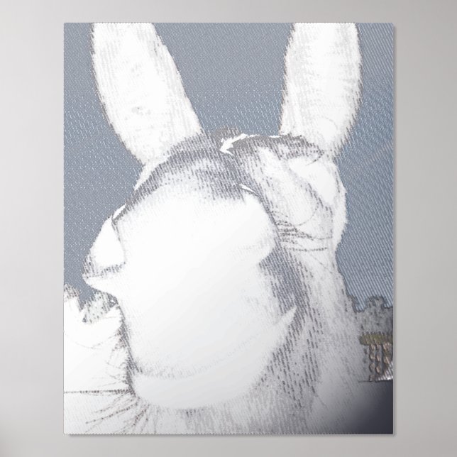 Comical Grey Smiling Donkey Foil Prints (Front)