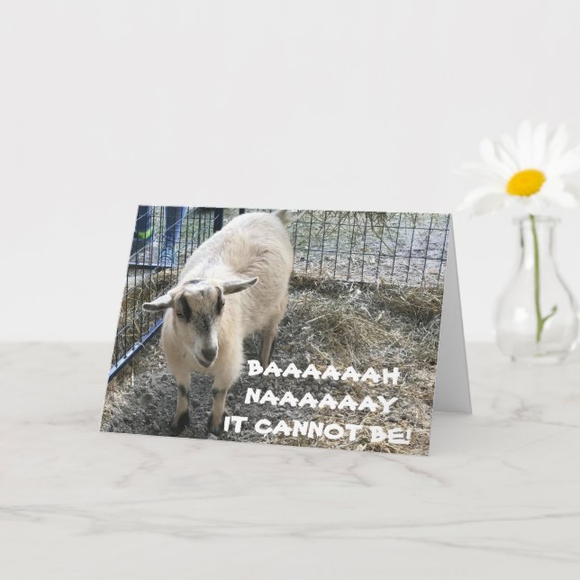 COMICAL SHEEP DIDN'T KNOW U WERE "THAT OLD" CARD (Small Plant)