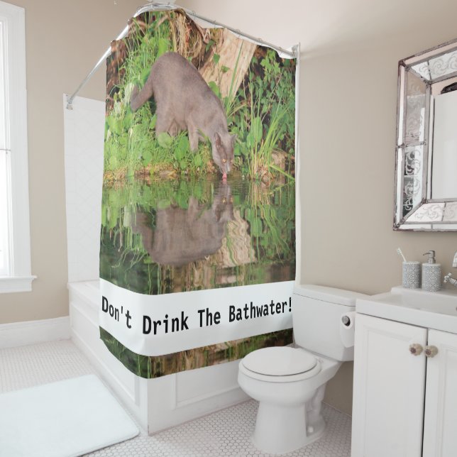 Comical Shower Curtain (In Situ)