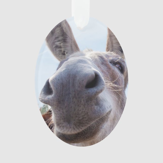 Comical Smiling Grey Donkey Ornament (Front)