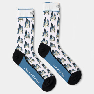 Comical Steller's Jay Bird Socks