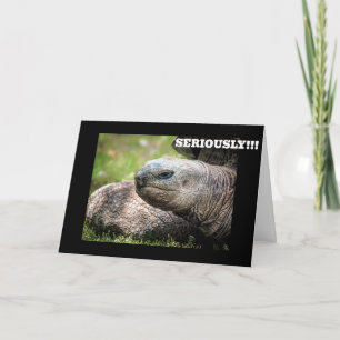 **COMICAL TURTLE** SAYS YOU NEVER AGE! CARD