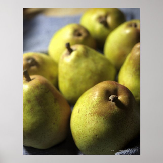 Comice Pears Poster (Front)