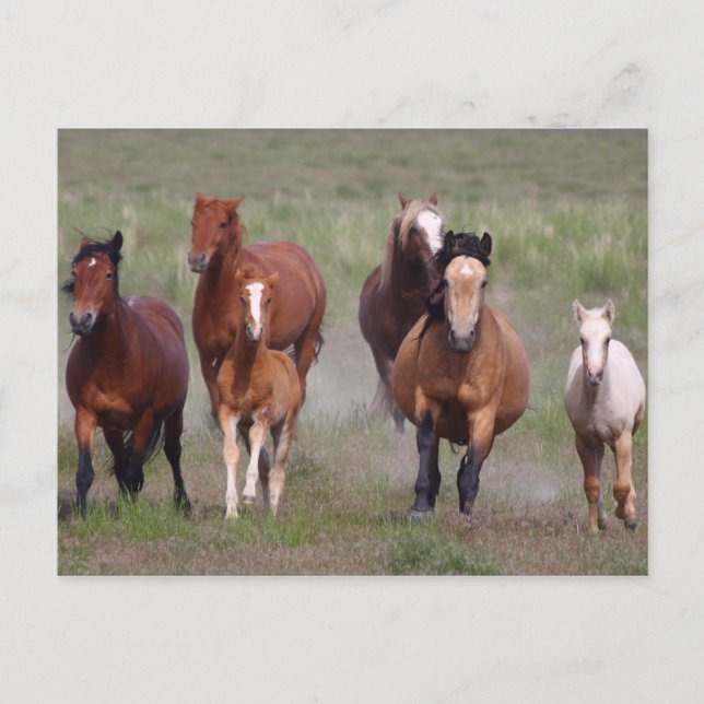 Coming At You Postcard (Front)