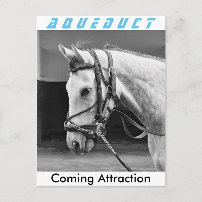 Coming Attraction Postcard (Front)