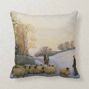 Coming home cushion