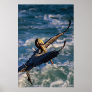 Coming in for a landing poster