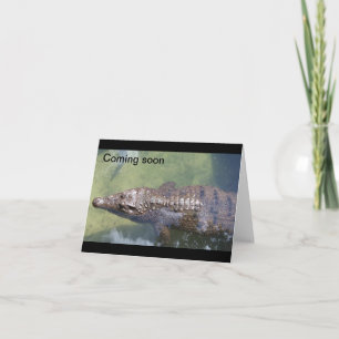 Coming Soon Alligator Card