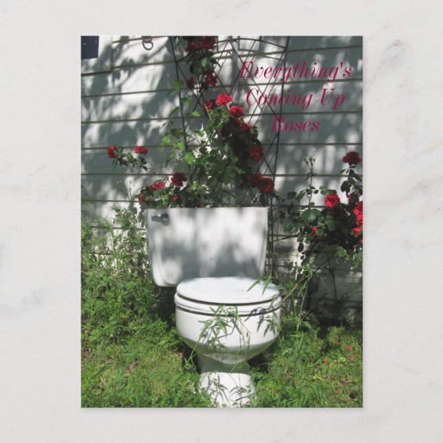 Coming Up Roses Postcard (Front)