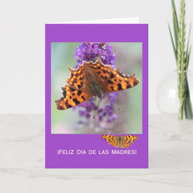 Comma butterflies mother's day spanish card (Front)