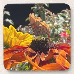 Comma Butterfly on a Rudbeckia Flower Coaster