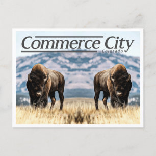 COMMERCE CITY COLORADO POSTCARD