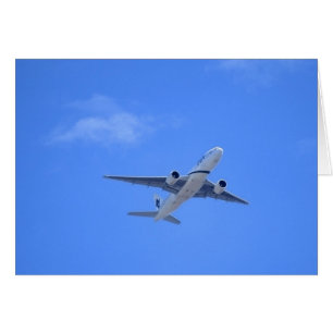 Commercial Airliner