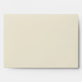 Commercial Modern Eggshell Envelopes
