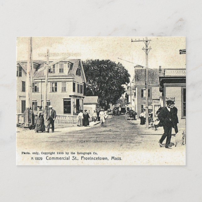 Commercial St, Provincetown, Vintage Postcard (Front)