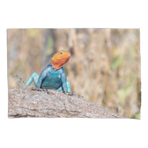Common Agama Pillowcase