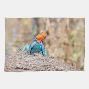 Common Agama Tea Towel