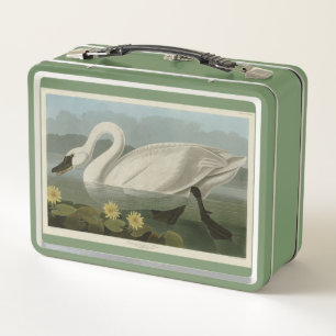 Common American Swan - Audubon's Birds of America Metal Lunch Box