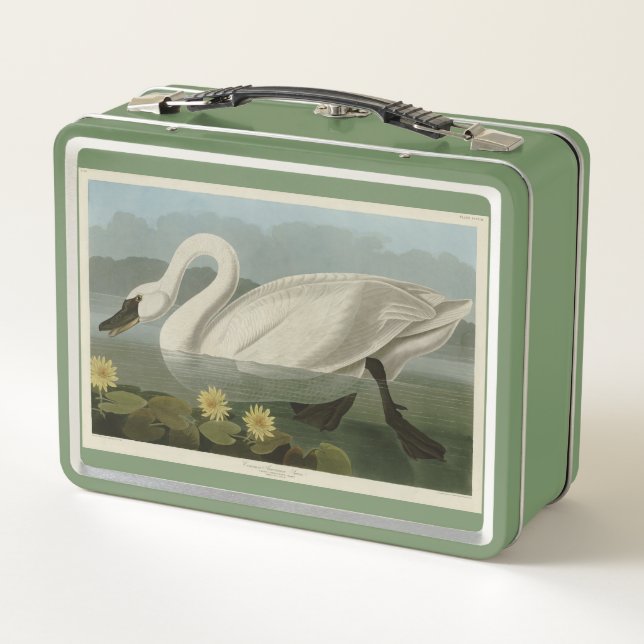 Common American Swan - Audubon's Birds of America Metal Lunch Box (Back)
