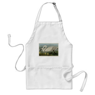 Common American Swan - Audubon's Birds of America Standard Apron