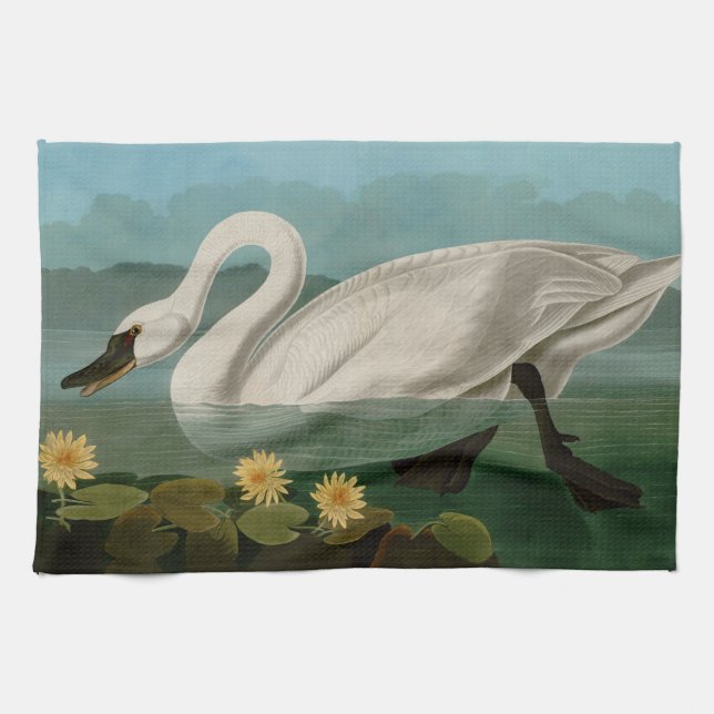 Common American Swan Birds of America Audubon Tea Towel (Horizontal)