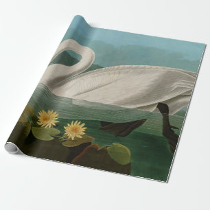 Common American Swan Birds of America Audubon Wrapping Paper