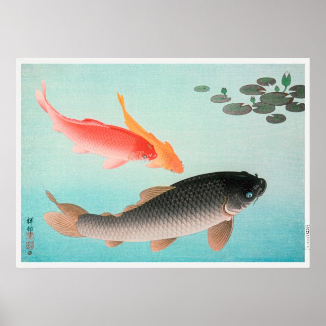 Common and Golden Carp by Ohara Koson (1935) Poster (Front)