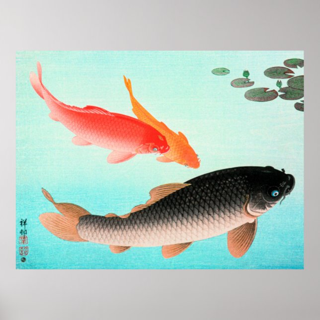 Common and Golden Carp Poster (Front)