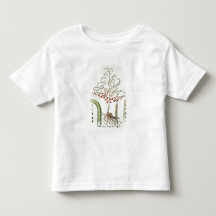 Common asparagus in flower and fruit, from the 'Ho Toddler T-Shirt