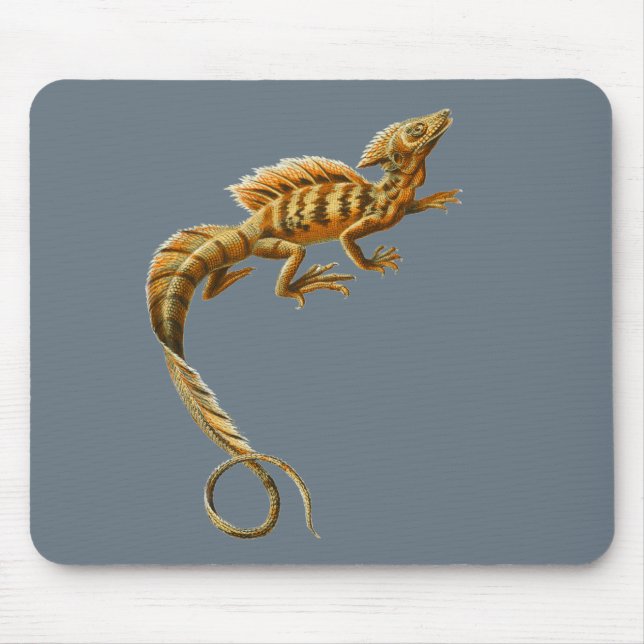 Common Basilisk Mouse Mat (Front)