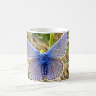 Common Blue Butterfly Bug Mug