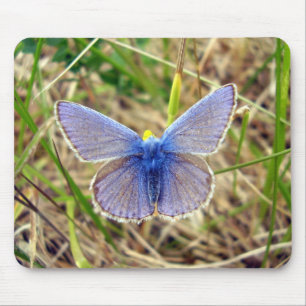 Common Blue Butterfly Mouse Mat