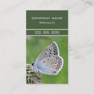 Common Blue Butterfly on Grass Business Card