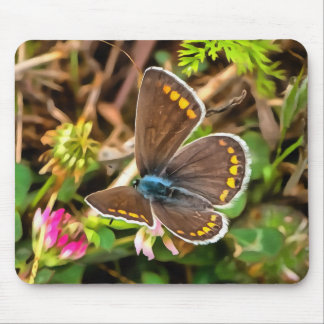 Common Blue Butterfly Polyommatus Icarus Painting Mouse Mat