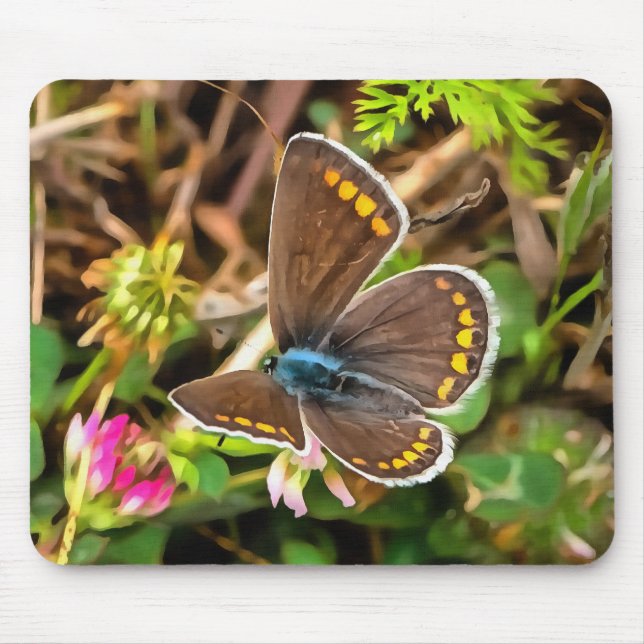 Common Blue Butterfly Polyommatus Icarus Painting Mouse Mat (Front)
